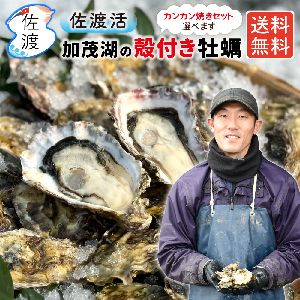 ���ϻ� ���դ�����